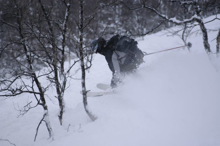 Skogsåkning. Foto: Emma Bylund. Åkare: Christer Larsson.