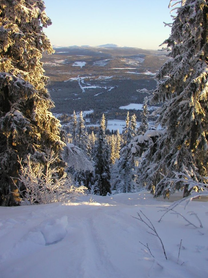 Skogsåkning dagen innan nyår i Funäsberget. Fin. Foto: Henrik.