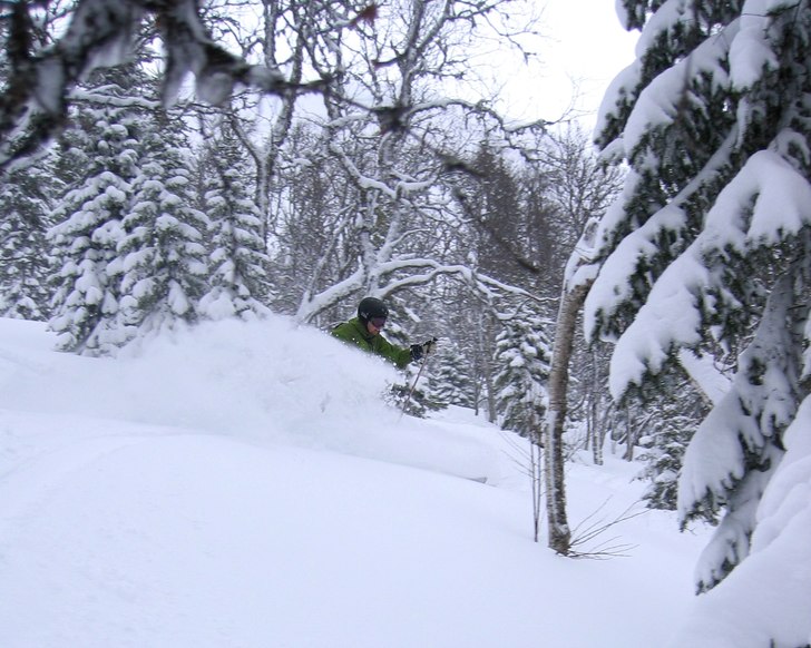 Foto: Hanna Carlsson. Åkare: Pär Carlsson.