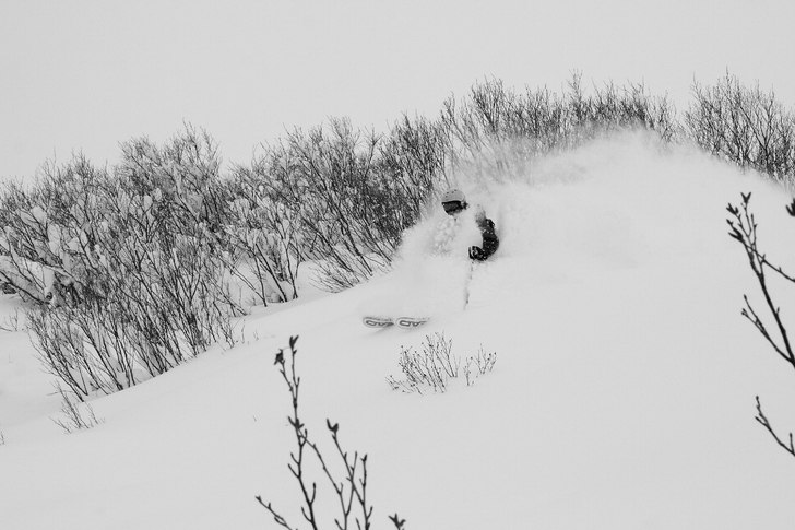 En fin dag på backside. Foto: Christian Reitan. Åkare: Leo Alsved.