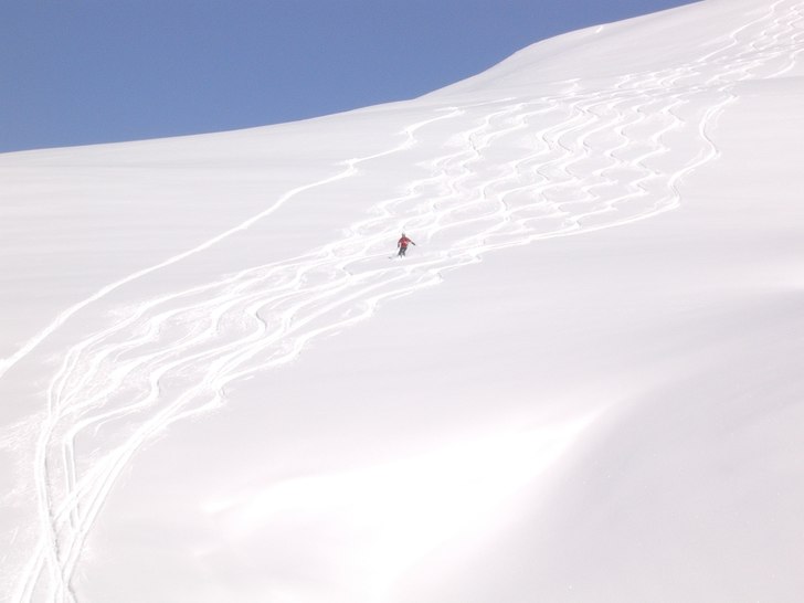 Vad mer kan man begära??. Foto: Lars Svensson. Åkare: Mikael Svensson.