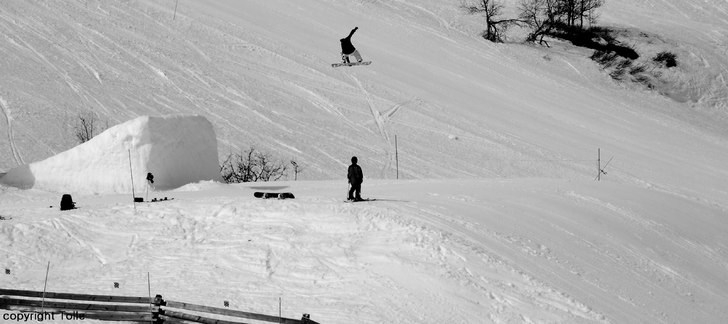 Foto: Tolle. Åkare: Dennis Lind.