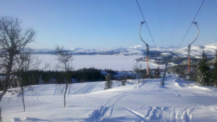 Ny dag, nye sjanser
Bra med besøk i går, håper .