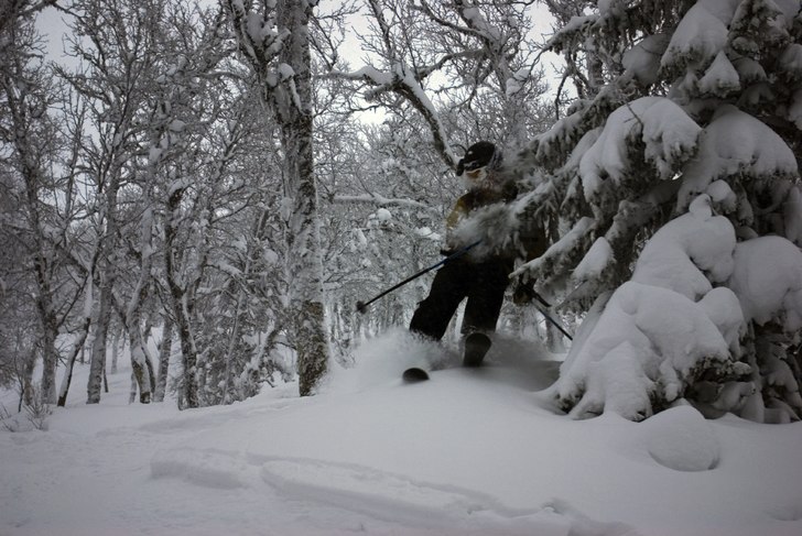 Foto: Janne Holmgren. Åkare: Erik Holmgren.