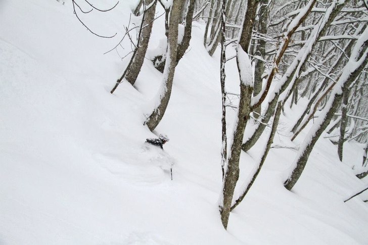 Foto: Andreas Bengtsson. Åkare: Staffan Syk.