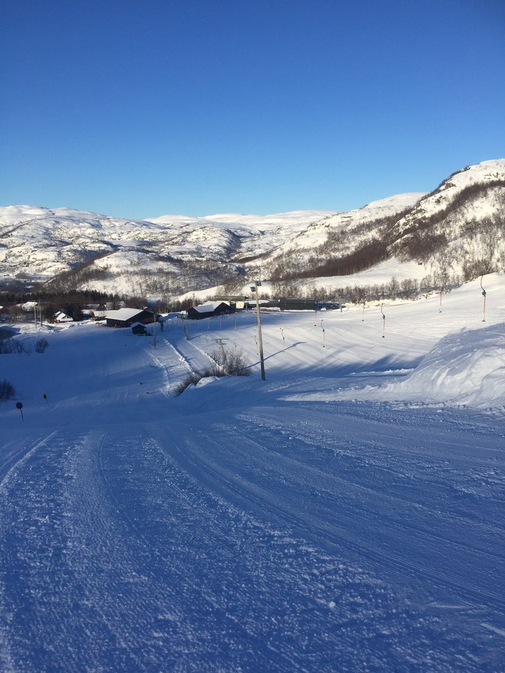 Mandag 15. Februar
Sol, skyfri himmel, vindstille .