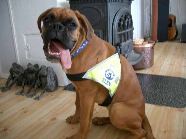 Esther poserar stolt. Åkare: Esther.