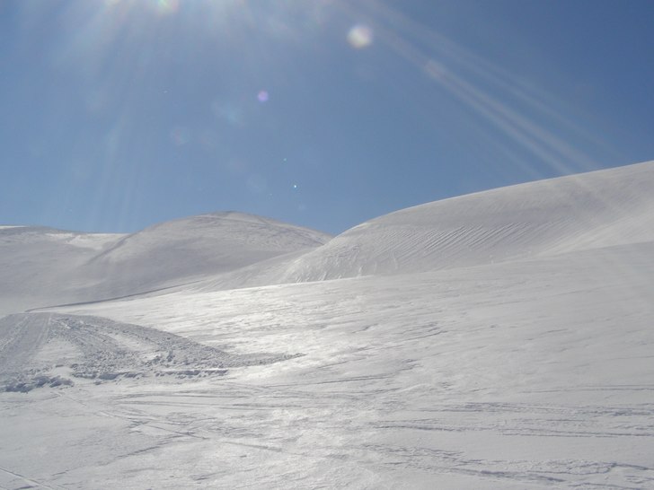 Foto: Frida Herndal.