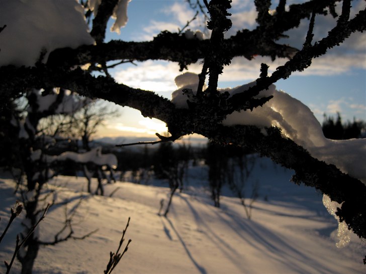 Foto: Anton Lithén.