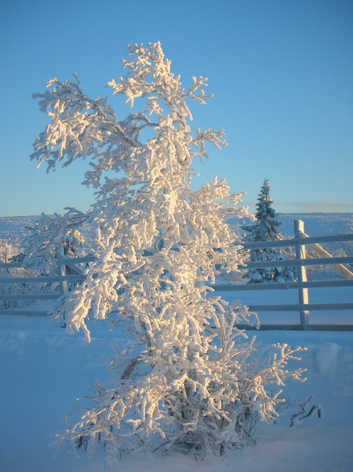 Foto: Robin Berntsson.