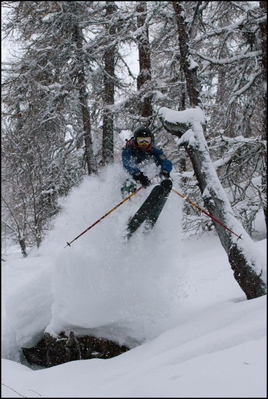 En bra dag i skogen.. Foto: Chris Skala. Åkare: Patrick.