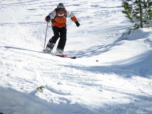 Smiling face.... Foto: unknown. Åkare: Yavor Netsov.