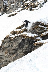 Foto: Sharek Jokke. Åkare: Ego.