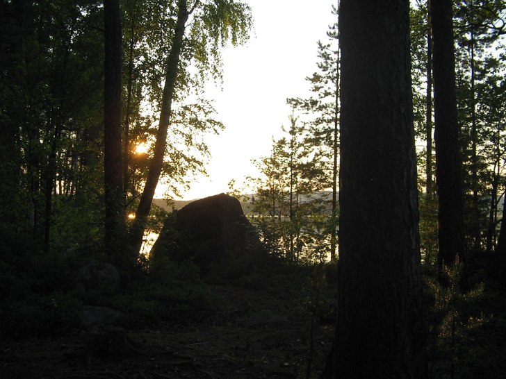 Foto: Sofia "Gnarly" Aronson.