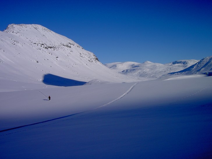 Foto: Fredrik Johansson. Åkare: Sam.
