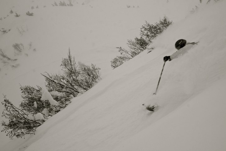 Foto: Felix Grunert. Åkare: Rikard Lindblad.