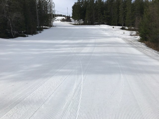 Et par kalde og slettes ikke så verst i bakken
Ku.