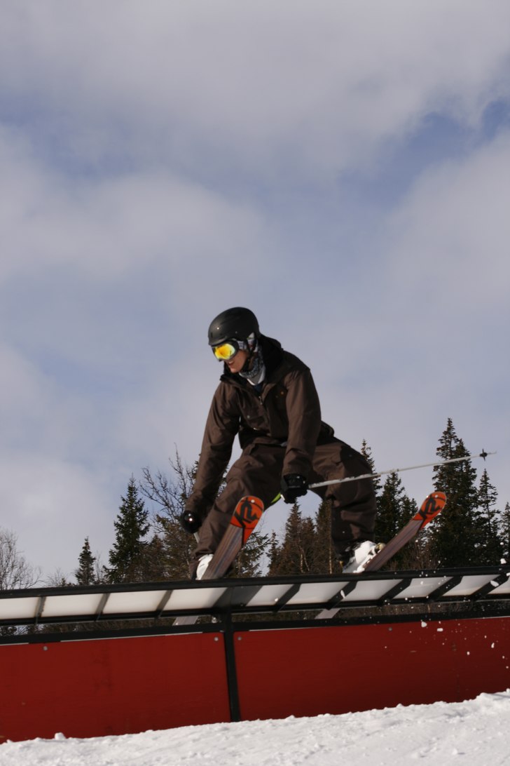 Foto: Cecilia Vähänikkilä. Åkare: Mårten Bergkvist.