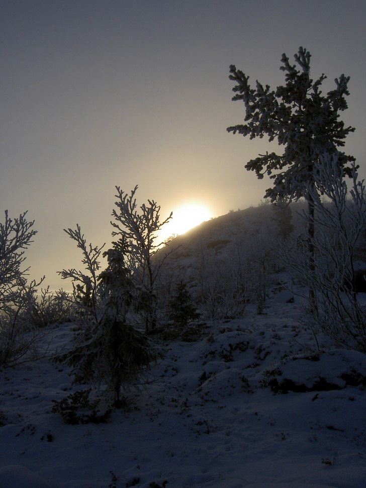 En tidig November morgon, solen kämpar för att n. Foto: Emma Karvonen.