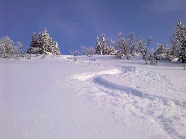 Foto: Mountain Man. Åkare: Mountain Man.
