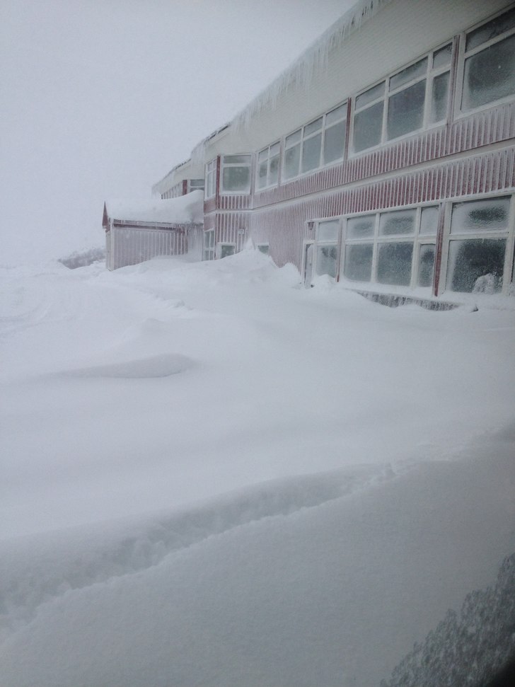 Snöstorm i 3 dagar! Nu jävlar!. Foto: Pälle Hedman.