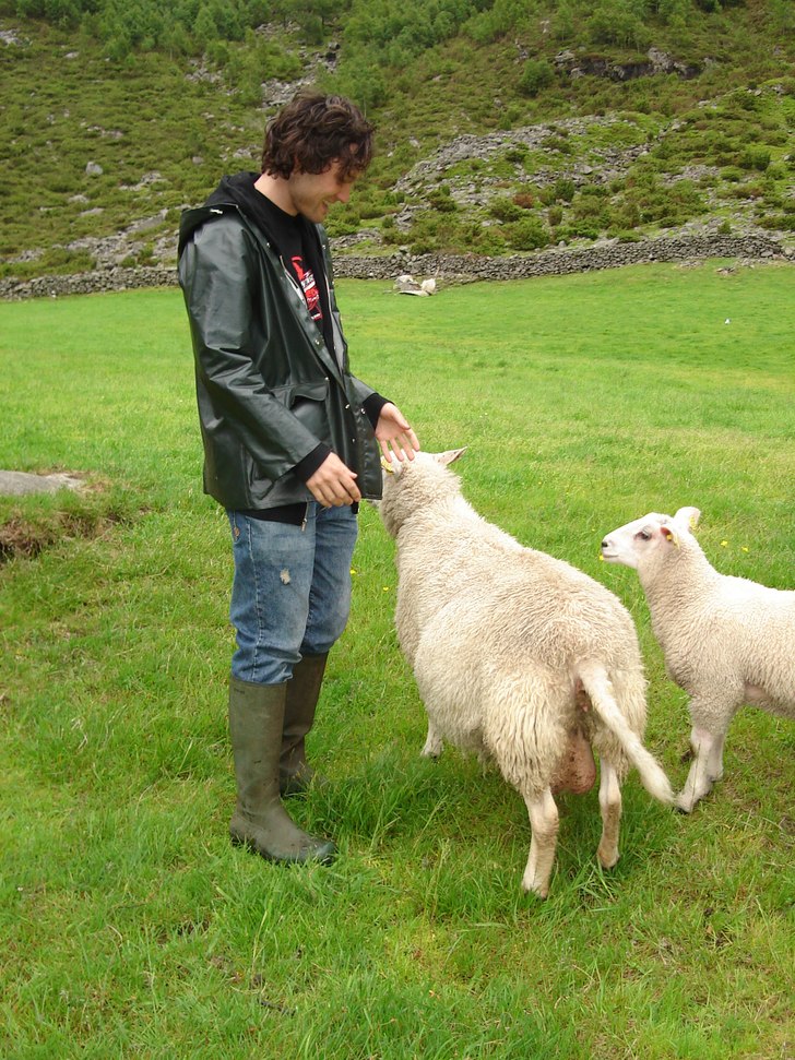 Vidar matar sociala får. Foto: frida.