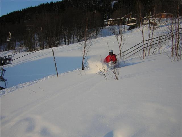 Foto: Marcus  Löfvenberg. Åkare: Mattias  Löfvenberg.