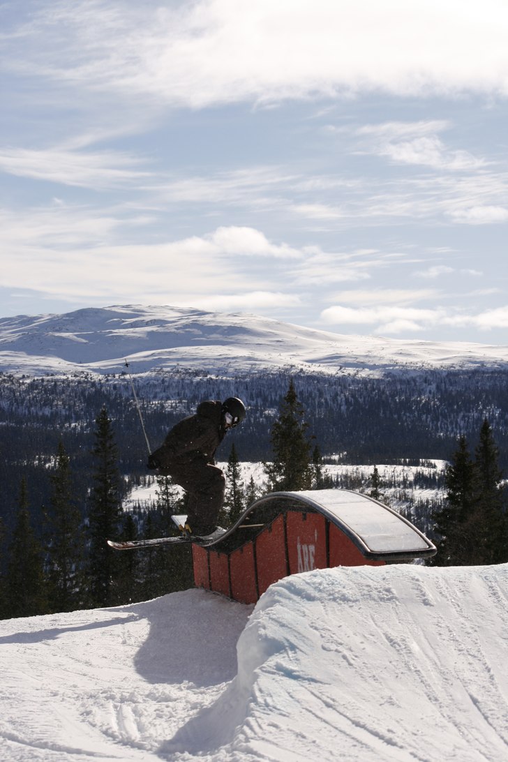 Foto: Cecilia Vähänikkilä. Åkare: Mårten Bergkvist.