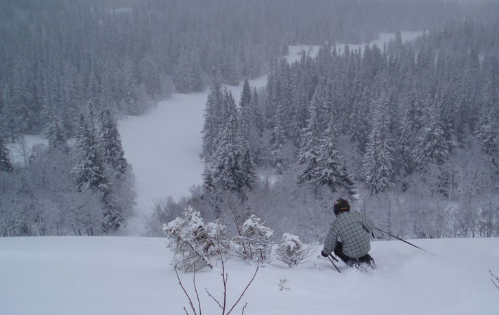 Foto: Alexander Bodén. Åkare: Gustav Bodén.