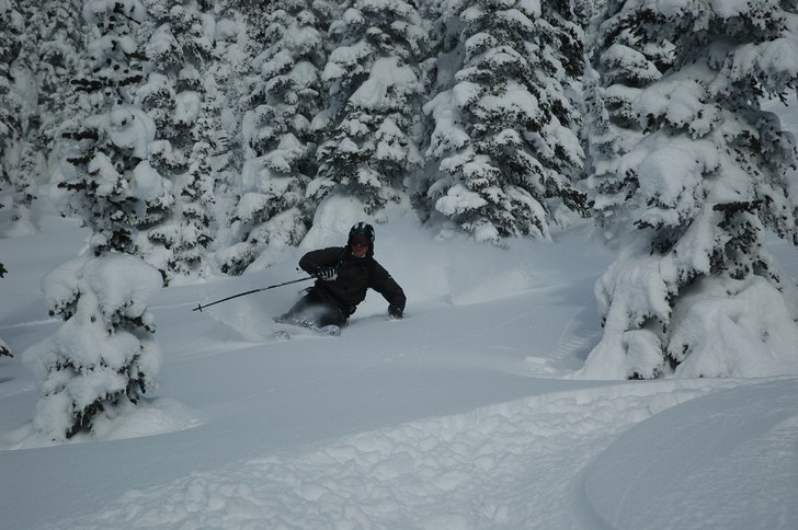 Foto: Göran Månsson. Åkare: Johan Olofsson.