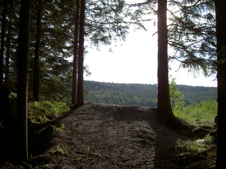 Från downhill-banan i storstenshöjden utanför �. Foto: Oskar Sund.