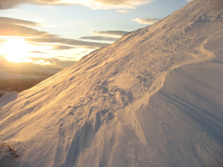 Foto: Johnny Nilsson.