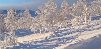 Slalom eller storslalom?. Foto: Eva Källander.