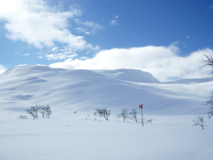 Foto: Amalia Amrén.