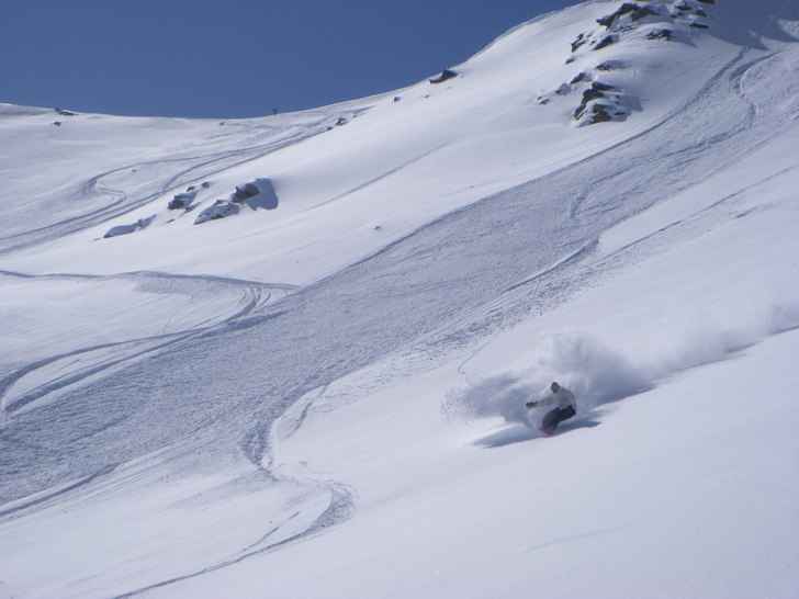 Foto: Håkan Cervin. Åkare: Niklas.