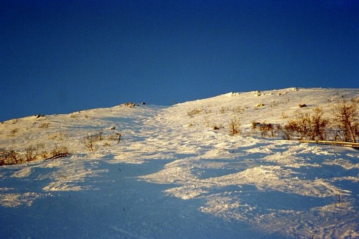 En trevlig backe... Foto: Johanna Estving.