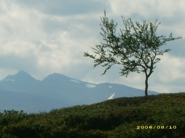 Foto: Johanna westerlund.