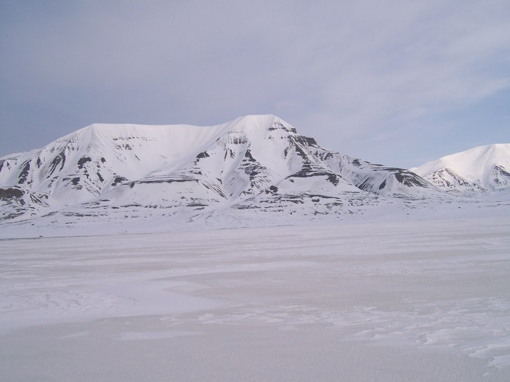 Från havsisen. Foto: Jag.