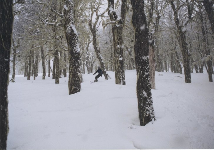 Grymskog med en massa lava över sig!!. Foto: Magnus Svensson. Åkare: hermansson.