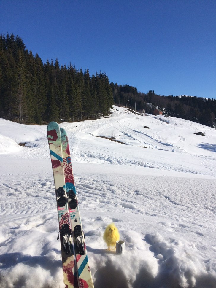 Sooool, bare soool! 
Der var påskesola på plass .