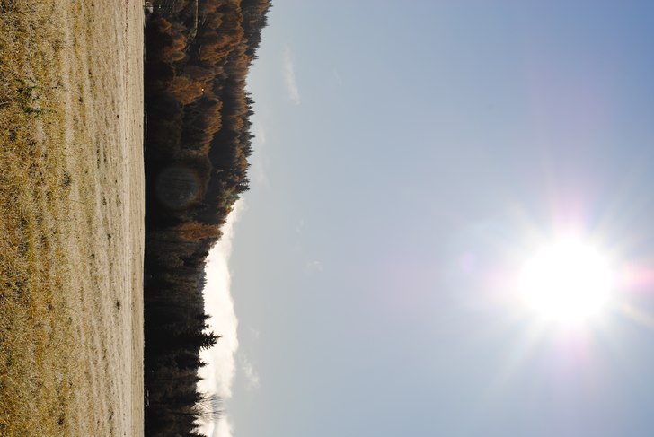 Foto: Linn Östlund.