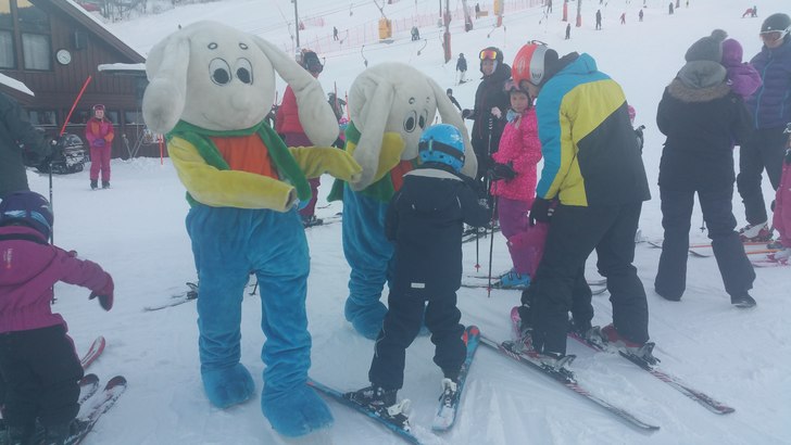 Snowy
Nypreppa bakke, yr melder flott vær i dag, .