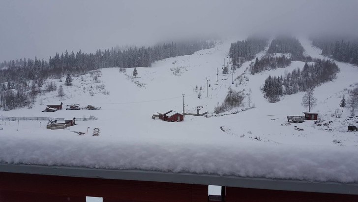 Jippi, masse nysnø!
Det har kommet mye nysnø i n.