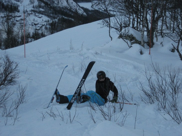 Karin vurpar i vår skogsbacke!. Foto: Sofia Hakner. Åkare: LilleHedman.