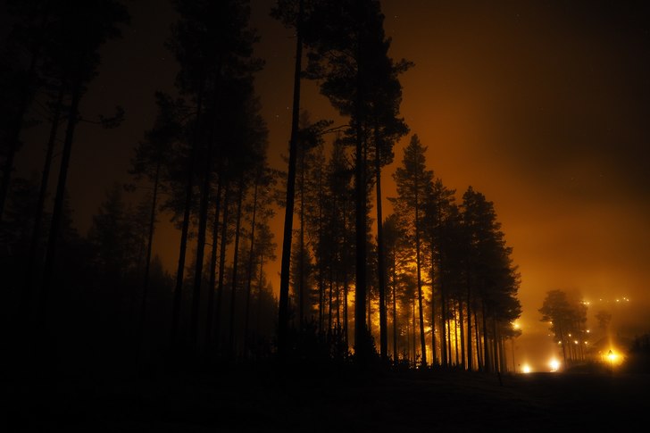 Vi åpner til helgen
Endelig kom kulden og de sist.