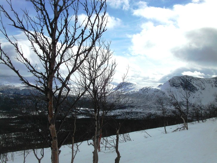 Foto: Karin Agestam.