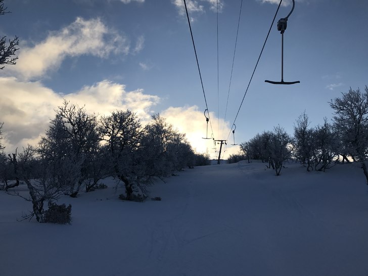 Velkommen til en ny fin dag????
.