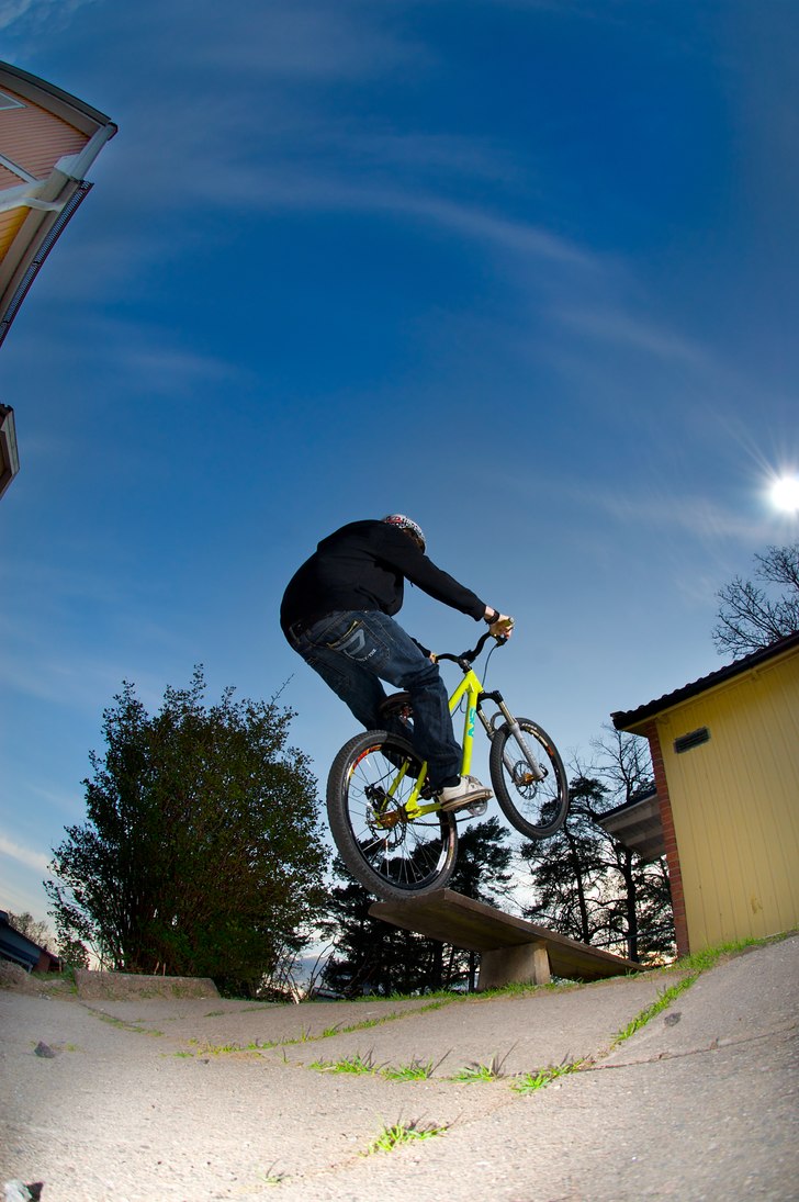 Abobaca på en bänk. Foto: Simon Pontér. Åkare: Joakim Nilsson.