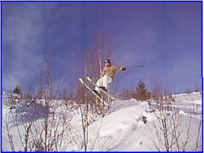 kugf. Foto: jhydq. Åkare: mj.