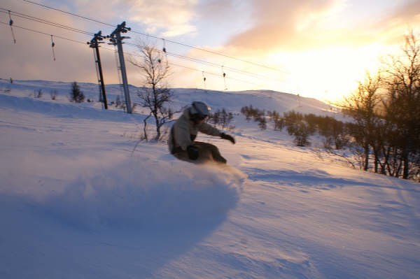 Foto: Kristoffer Olsson. Åkare: Danne Burken Kalin.